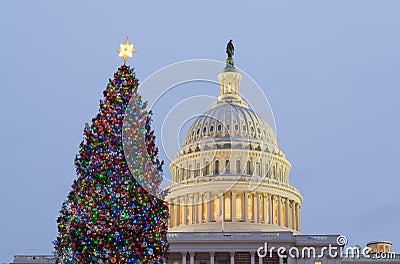 Stock photo of a decorated xmas tree in front of the Capitol dome in Washington DC at Christmas time