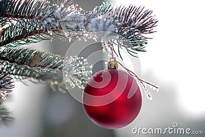 Christmas tree with of hanging ball Stock Photo