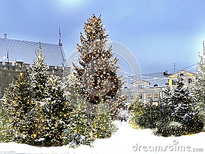 Christmas Tallinn tree golden confetti illuminated holiday bazar city decoration white fluffy snow fall medieval tow Stock Photo