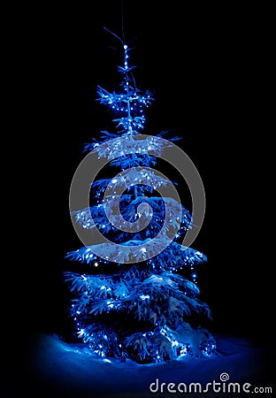 Christmas tree illuminated by New Year`s lights Stock Photo