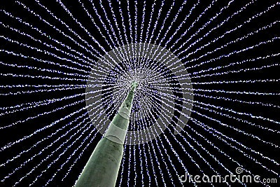 Christmas Tree of lights, 250 feet high, Oklahoma City Stock Photo