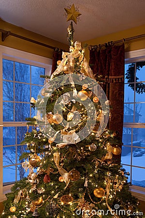 Christmas Tree in Living Room Stock Photo