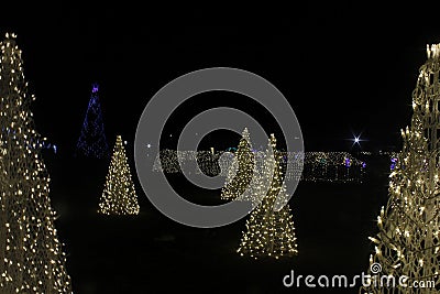 The Christmas tree made by lights Stock Photo