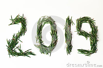 2019. Christmas tree needles on the white Background. Numbers are made of a pine tree branches. New Year Concept Stock Photo