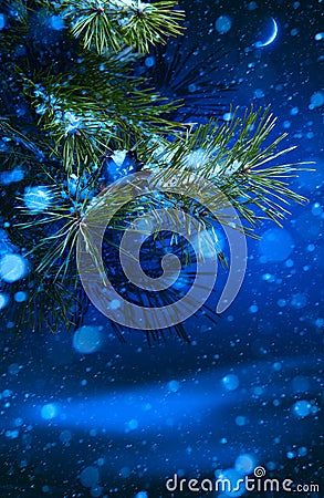 Christmas tree on night background Stock Photo