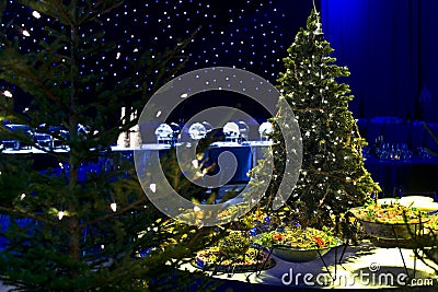 Christmas tree and party food Stock Photo