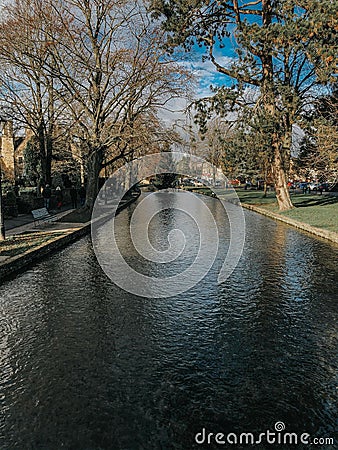 Christmas tree in the River Windrush Stock Photo