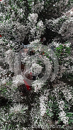 Christmas Tree with Snow Frost Effect Stock Photo