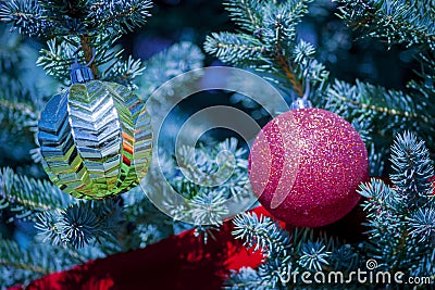 Christmas tree with red and gold spheres Stock Photo