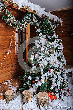 Christmas tree Stock Photo