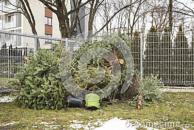 A Christmas tree thrown out into the street after the holidays Stock Photo