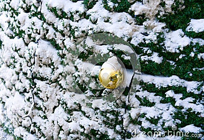 A Christmas tree with toy is close. Happy New Year Stock Photo