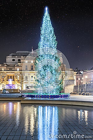 The Christmas Tree on Trafalgar Square on London, United Kingdom Editorial Stock Photo
