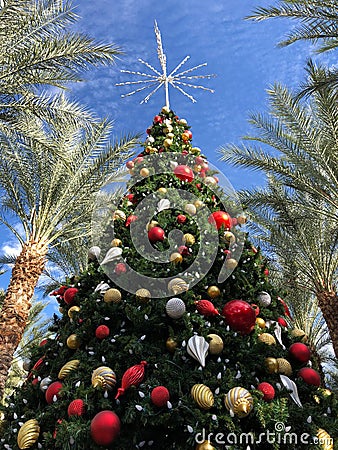 Christmas tree in warm weather climate Arizona Stock Photo