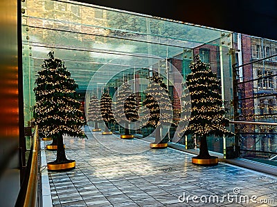 Christmas Trees in Glass Enclosed Walkway Stock Photo