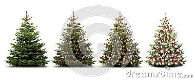 Christmas Trees isolated Stock Photo