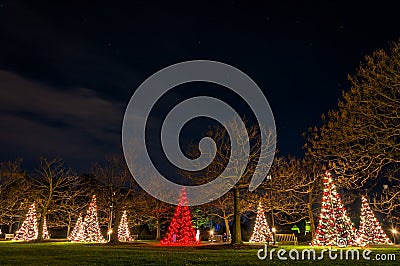 Christmas trees at night, Longwood Gardens, Pennsylvania. Editorial Stock Photo