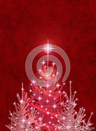 Christmas Trees on Red Stock Photo