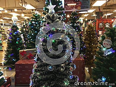 Christmas Trees Retail Sale Editorial Stock Photo