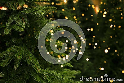 Christmas trees for sale Stock Photo