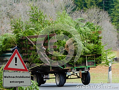 Christmas trees on trailer sustainability german 