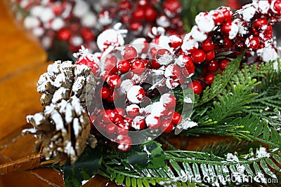 Christmas twig rowan cones and snow. Stock Photo