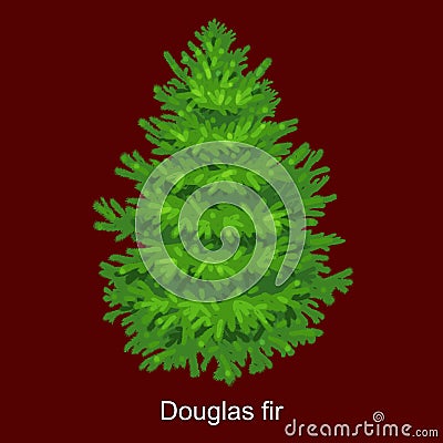 Christmas vector tree like douglas fir for New year celebration without holiday decoration, evergreen xmas plants Vector Illustration