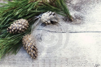 Christmas vintage composition background. Pine branches with cones Stock Photo