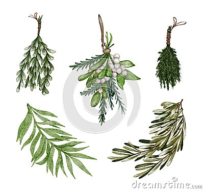 Christmas watercolor floral set. Diferent green twigs and holly leaves, white berries, olive branches and spruce Stock Photo