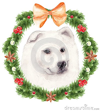 Christmas watercolor illustration, white dog, Samoyed Laika in the decoration of a wreath of fir branches Cartoon Illustration