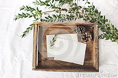 Christmas or winter wedding mock-up scene. Blank cotton paper greeting cards, old wooden tray, pine cones and green Stock Photo