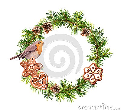 Christmas wreath with ginger cookies and robin bird. Xmas watercolor - spruce tree branches, cones. Stock Photo