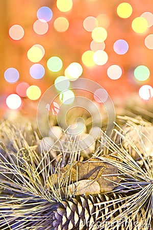Christmas wreath on lights background Stock Photo