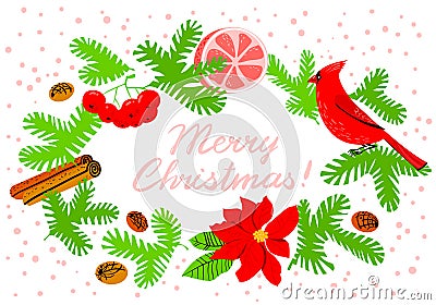 Christmas wreath with poinsettia red flower. Winter floral background with cardinal bir Vector Illustration