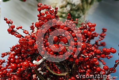 Christmas wreath of red berries as background Stock Photo