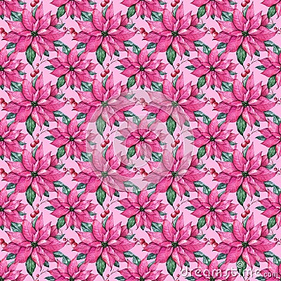 Christmass Seamless Pattern, POinsettia Flower Watercolor Pattern, Christmas Floral Pattern Stock Photo