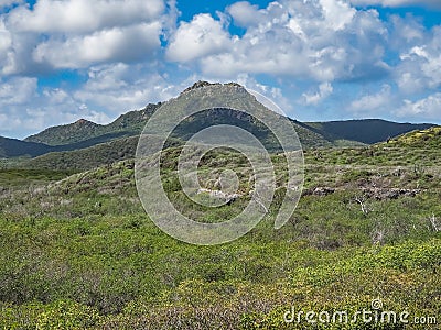 Christoffelberg mountain - Christoffel National Park Curacao Views Stock Photo