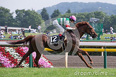 Christophe Lemaire at Tokyo Racecourse, Japan Editorial Stock Photo