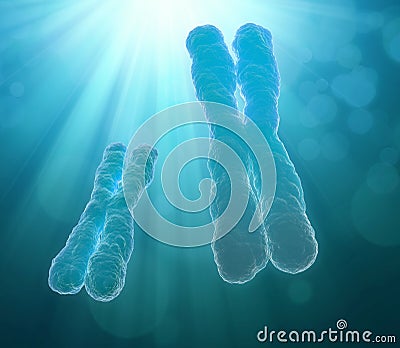 Chromosome Cartoon Illustration