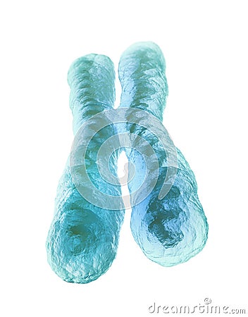 Chromosome Cartoon Illustration