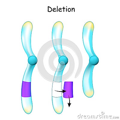Chromosome Deletion. Genetic mutation Vector Illustration