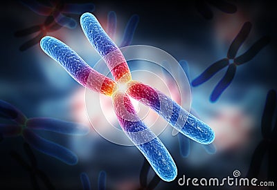 Chromosome Cartoon Illustration
