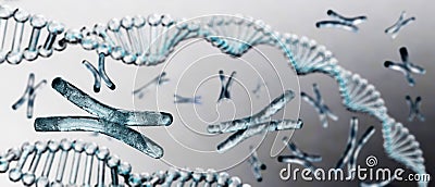 Chromosome, DNA Stock Photo