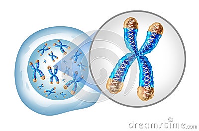 Chromosomes Concept Cartoon Illustration