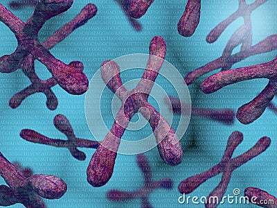 Chromosomes Cartoon Illustration