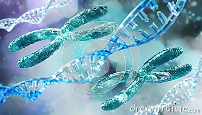 Chromosomes, X chromosome close up on a blurred background, human genome, 3d rendering Stock Photo