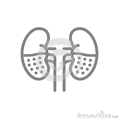Chronic kidney disease line icon. Human organ for filtering blood, pyelonephritis, renal tuberculosis symbol Vector Illustration