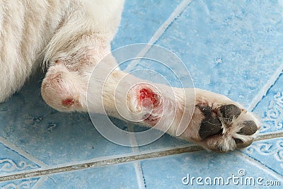 Chronic wound Stock Photo