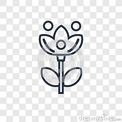 Chrysanthemum concept vector linear icon isolated on transparent Vector Illustration