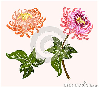 Chrysanthemum flower vector for tattoo or embroider. Vector Illustration
